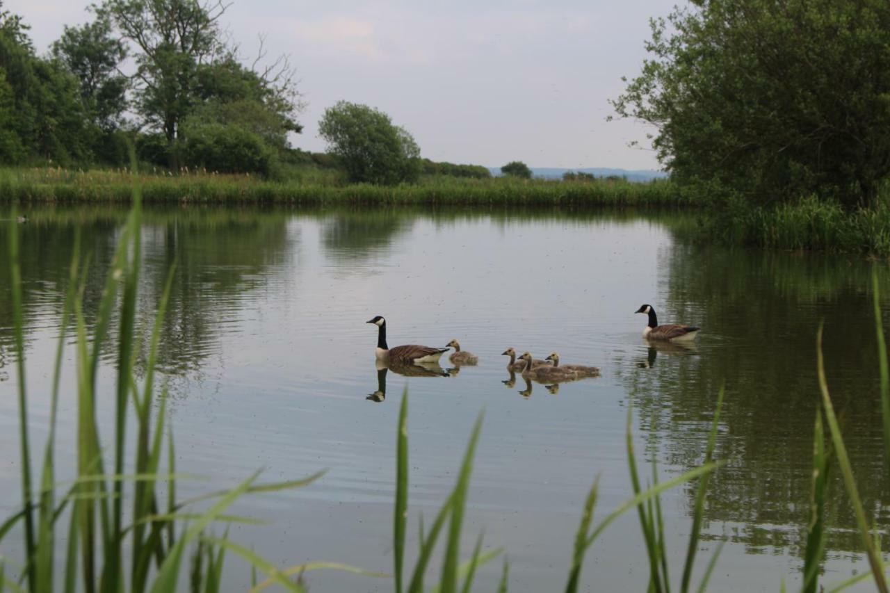 Fair Farm Hideaway Villa Waltham on the Wolds Bagian luar foto
